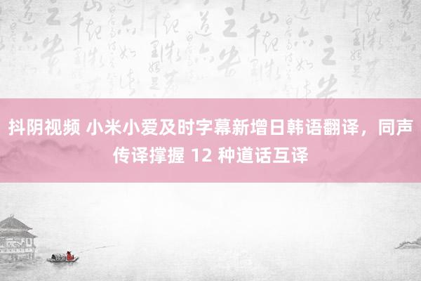 抖阴视频 小米小爱及时字幕新增日韩语翻译，同声传译撑握 12 种道话互译