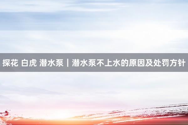 探花 白虎 潜水泵｜潜水泵不上水的原因及处罚方针