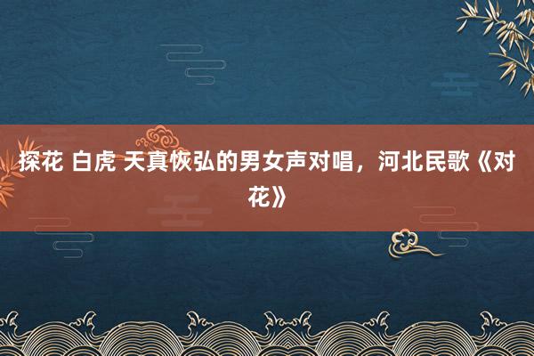 探花 白虎 天真恢弘的男女声对唱，河北民歌《对花》