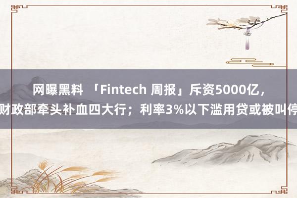 网曝黑料 「Fintech 周报」斥资5000亿，财政部牵头补血四大行；利率3%以下滥用贷或被叫停