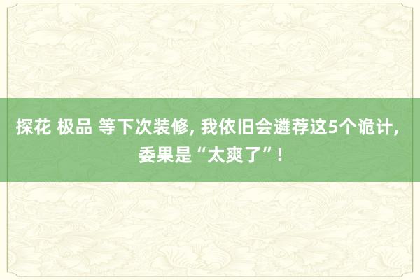 探花 极品 等下次装修， 我依旧会遴荐这5个诡计， 委果是“太爽了”!