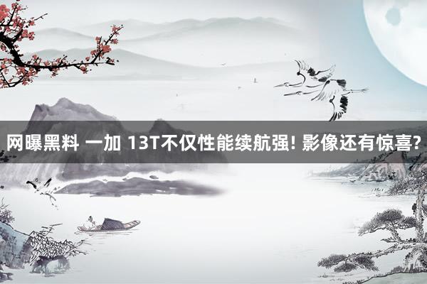 网曝黑料 一加 13T不仅性能续航强! 影像还有惊喜?