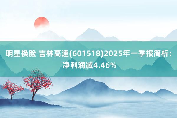 明星换脸 吉林高速(601518)2025年一季报简析: 净利润减4.46%