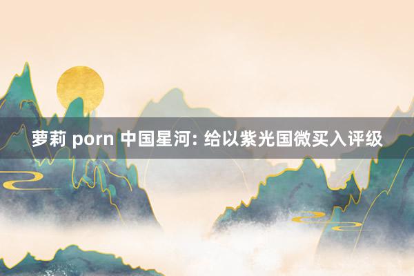 萝莉 porn 中国星河: 给以紫光国微买入评级