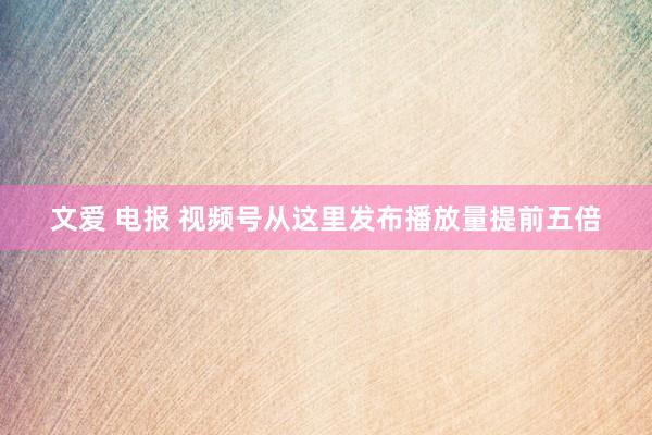 文爱 电报 视频号从这里发布播放量提前五倍